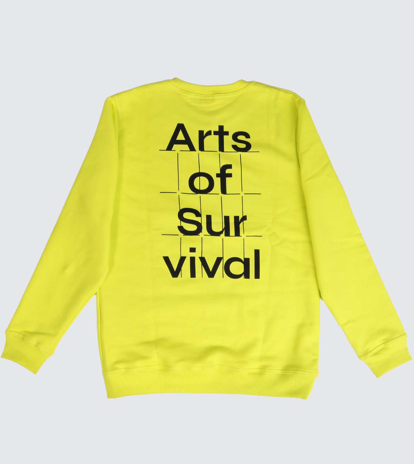 Tartu 2024 kollane pusa